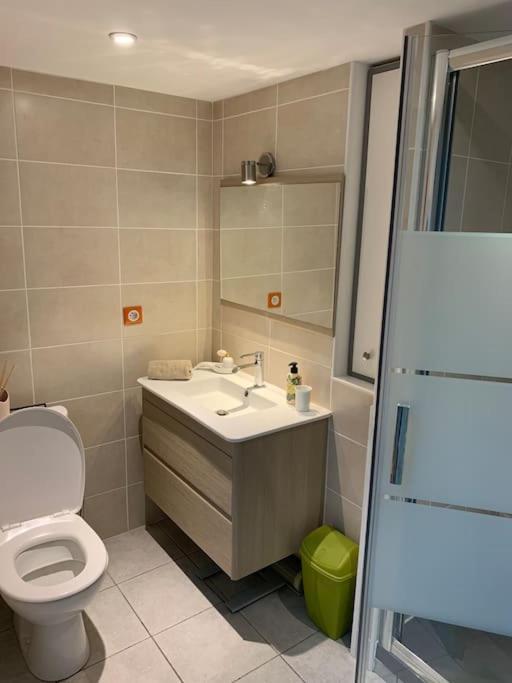 Triplex De Charme Centre Ville Лімож Екстер'єр фото